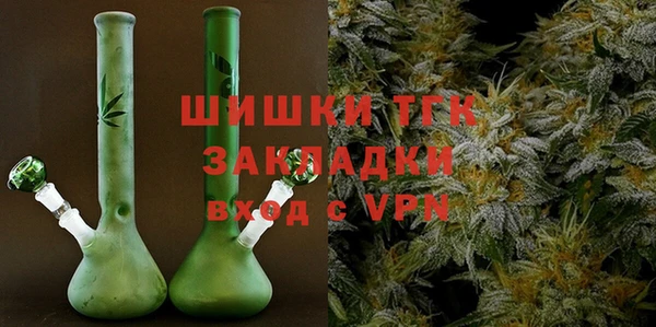 сатива Туринск