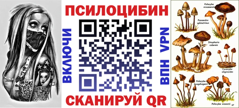 Псилоцибиновые грибы мицелий  Чулым 